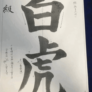 大人漢字クラスの漢字の基本の書